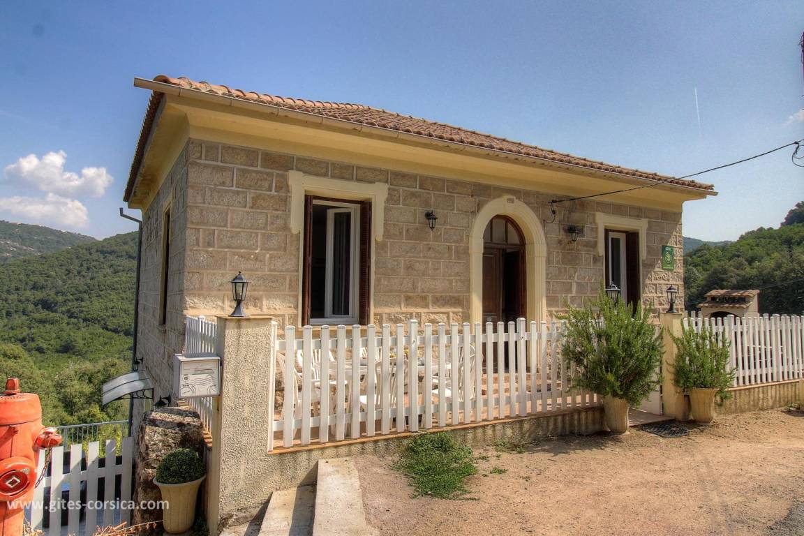 foto1