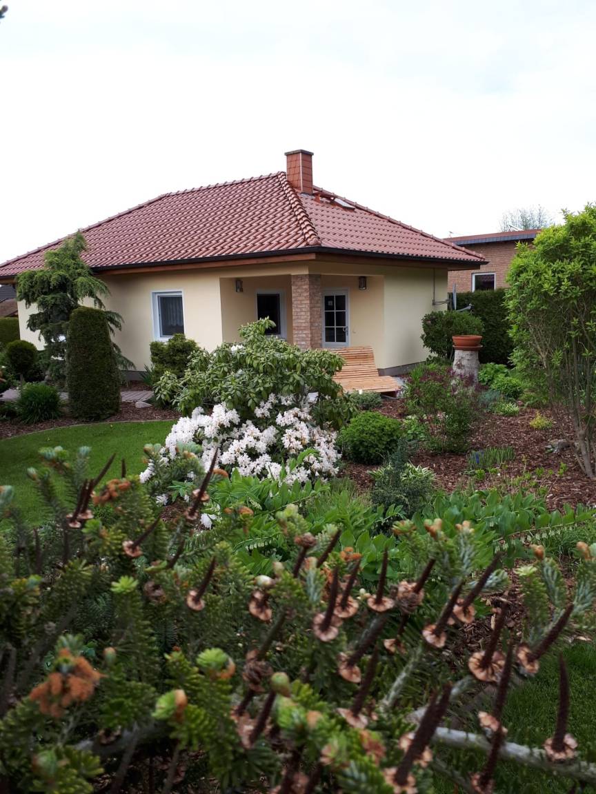foto1