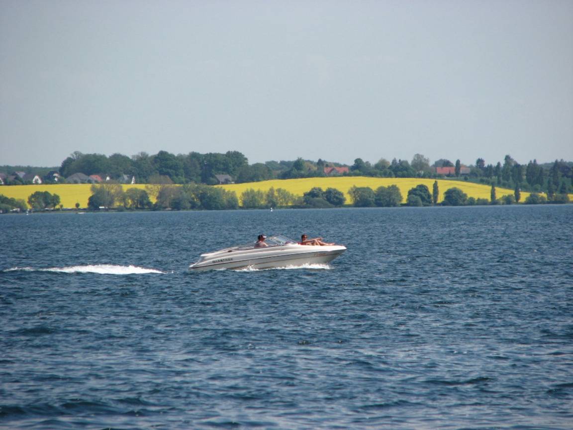 foto20