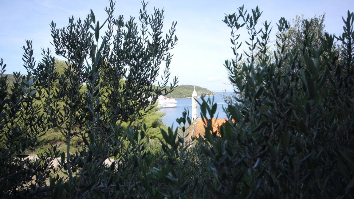 25 M² Appartement ∙ 1 Chambre ∙ 3 Personnes - Vis