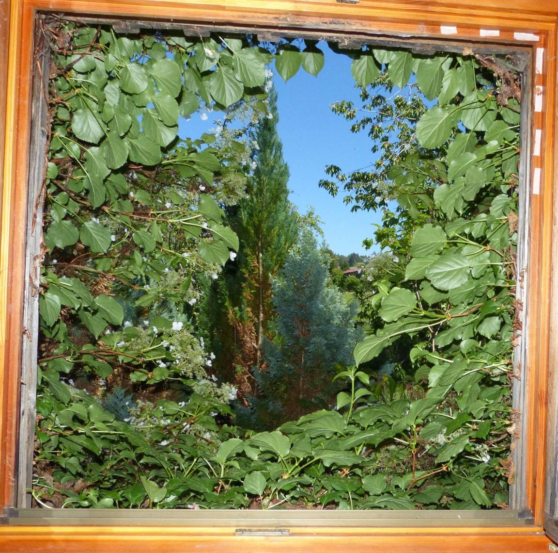 foto11
