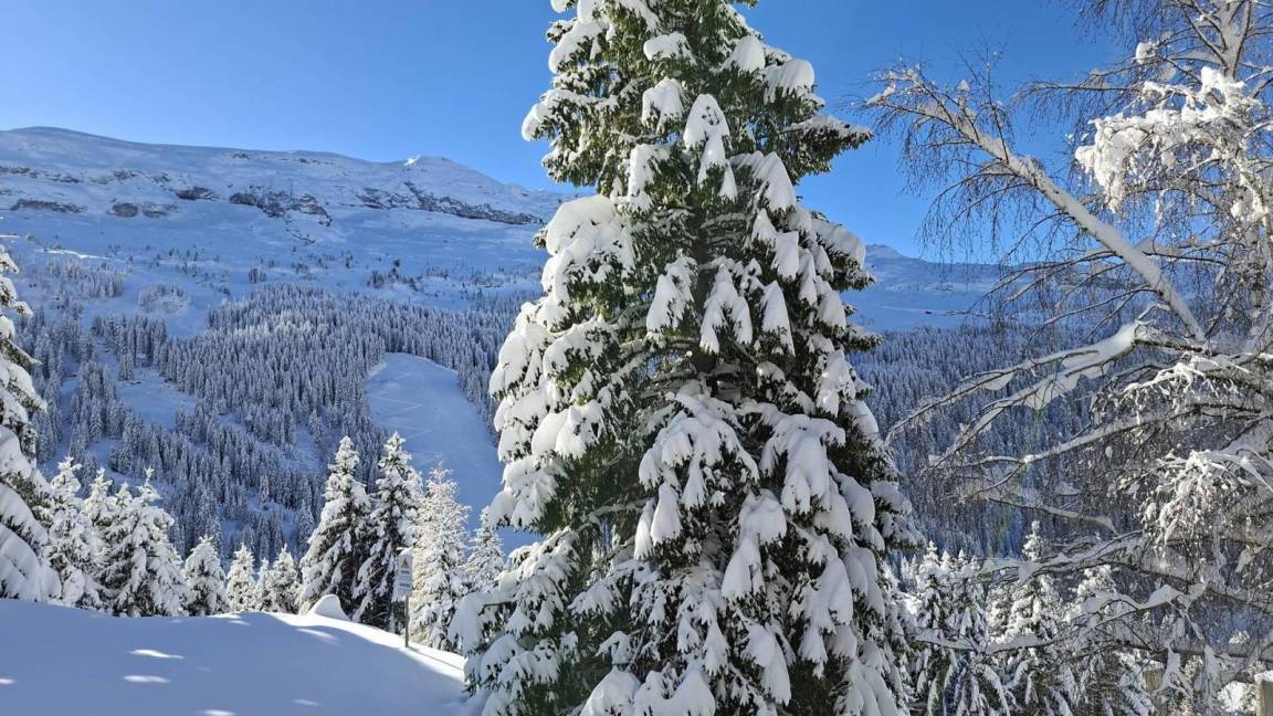 foto11
