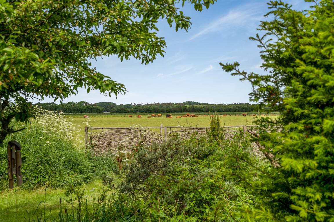 foto26