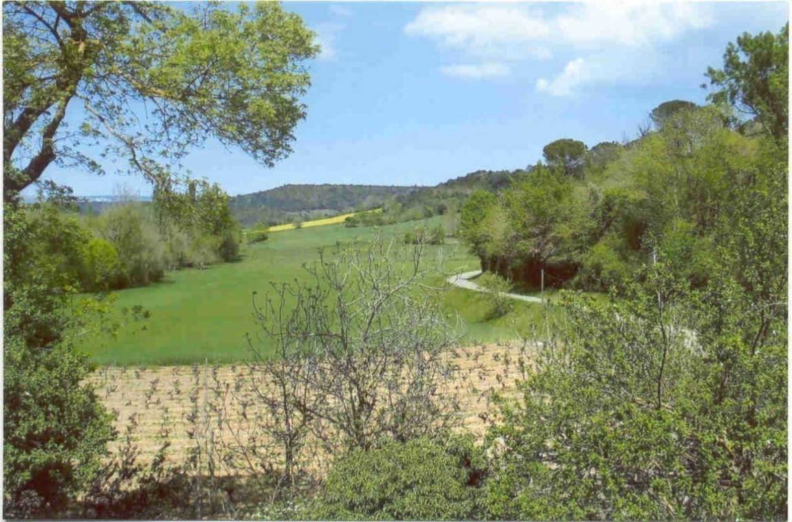 foto15