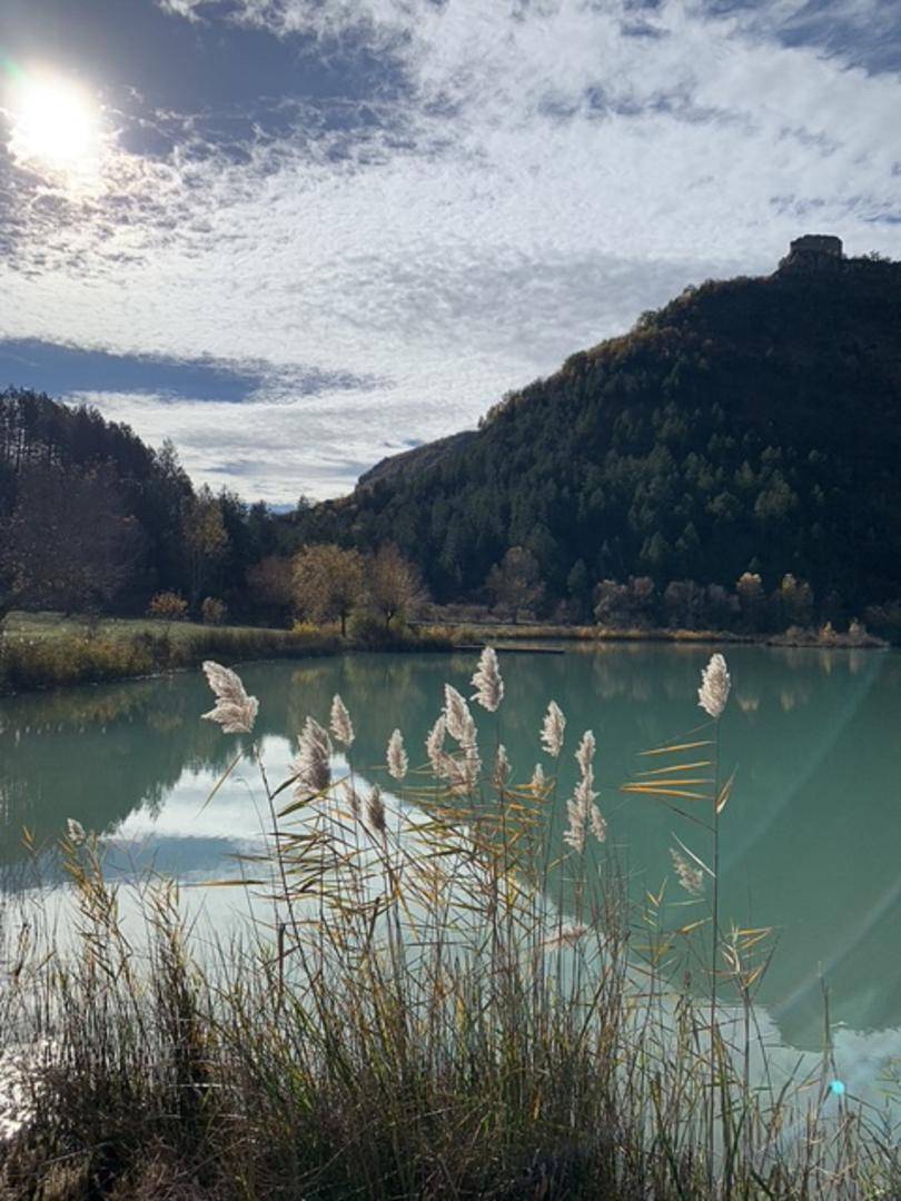 foto22