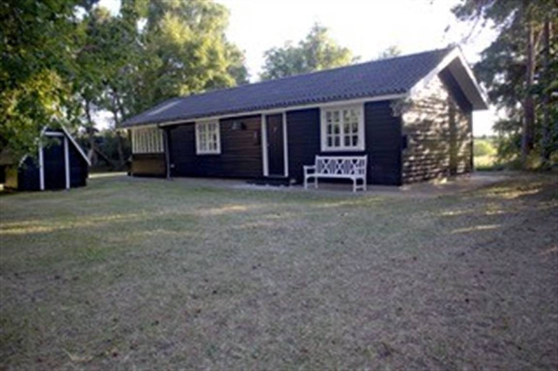 foto11