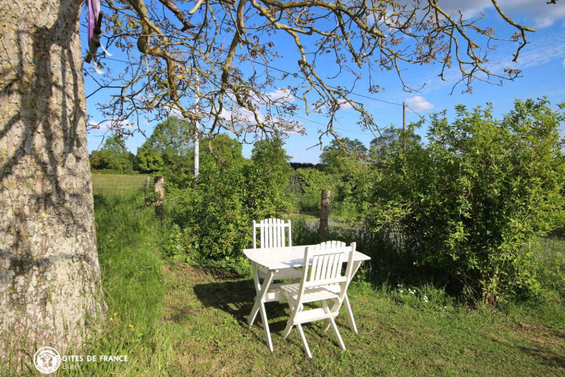 foto20