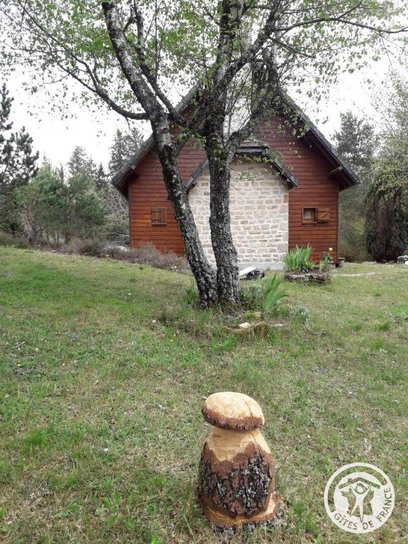 foto18