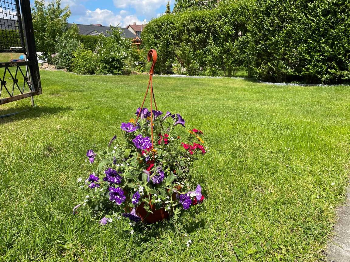 foto20