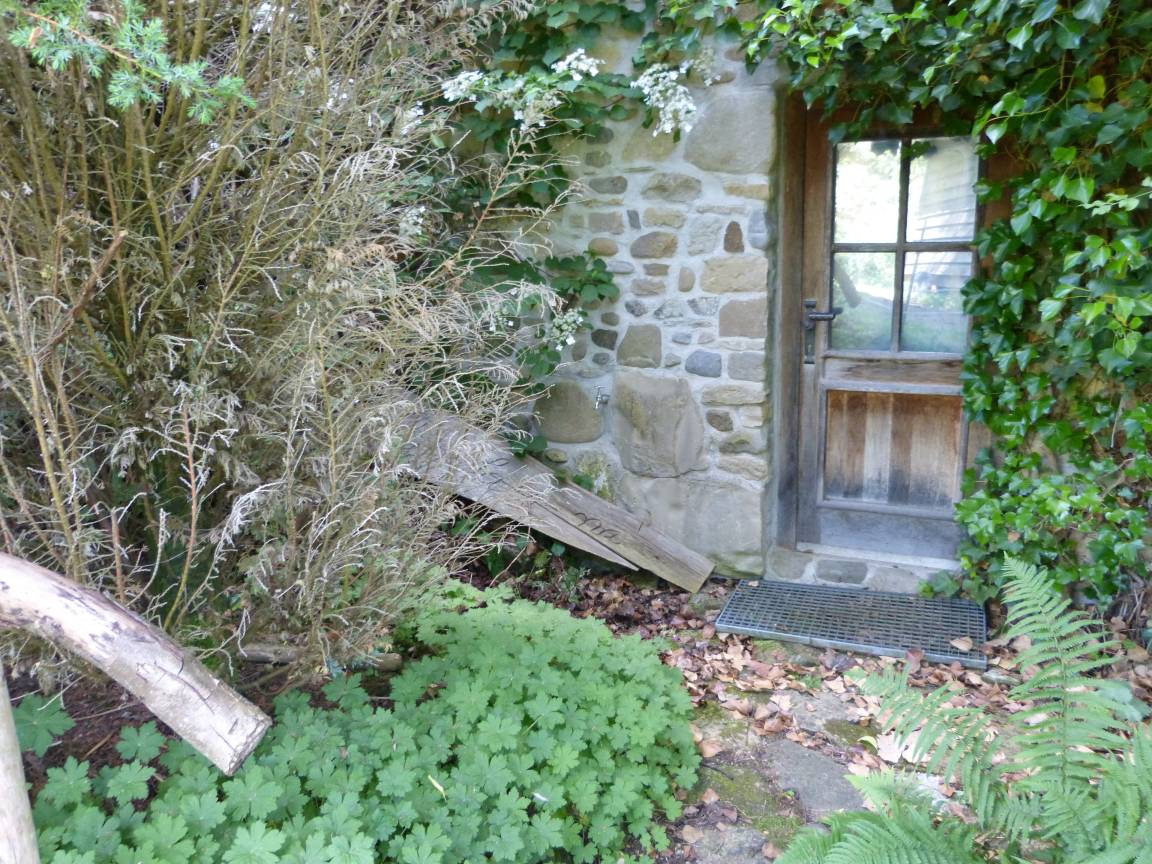 foto26