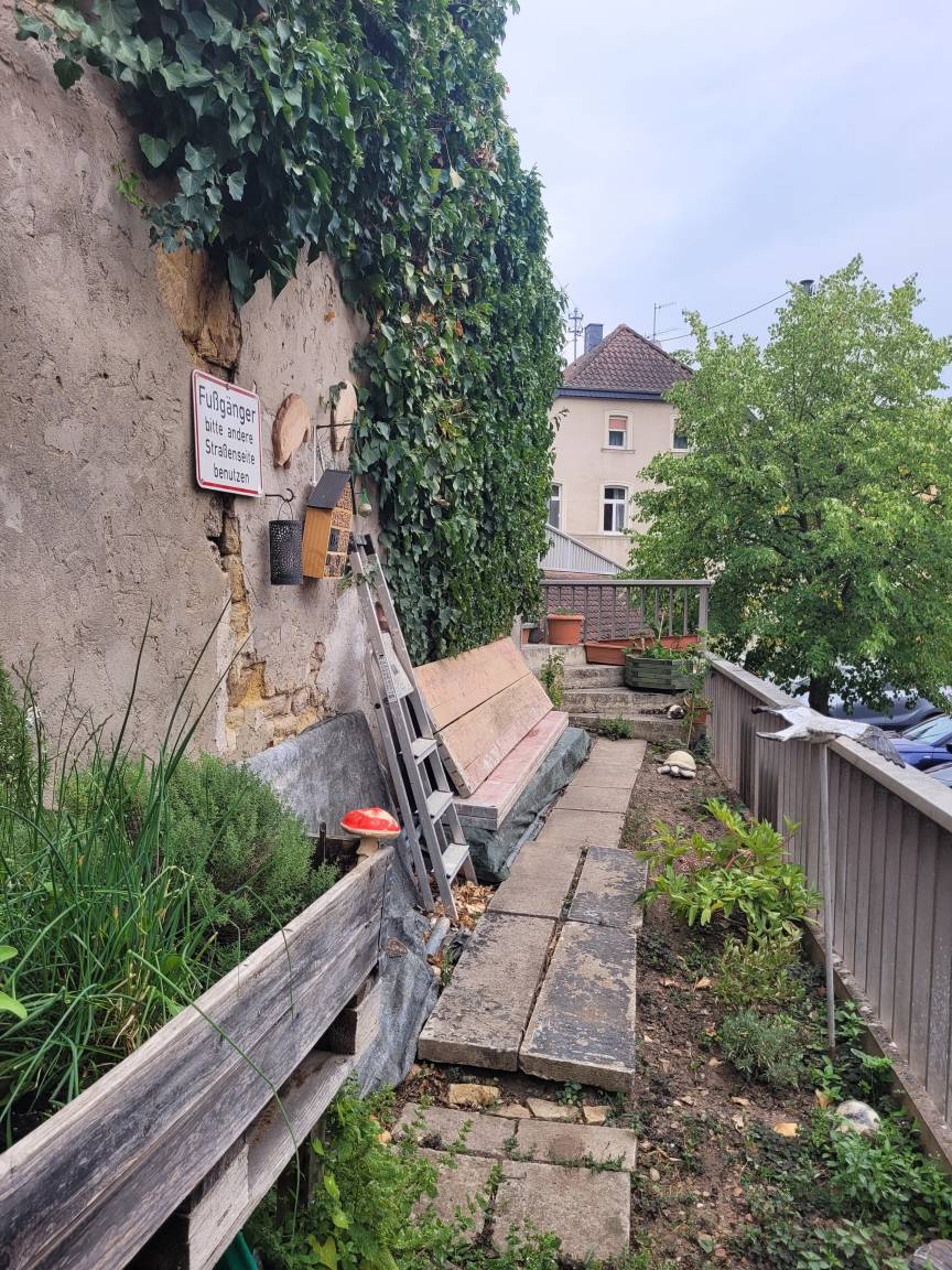 foto5