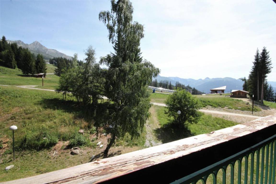 foto4