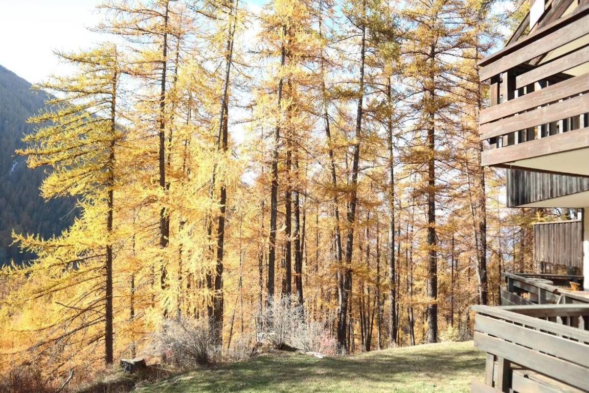 foto11