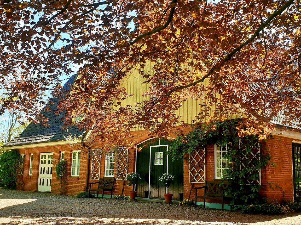 80 M² Ferienwohnung ∙ 3 Schlafzimmer ∙ 5 Gäste - Schleswig