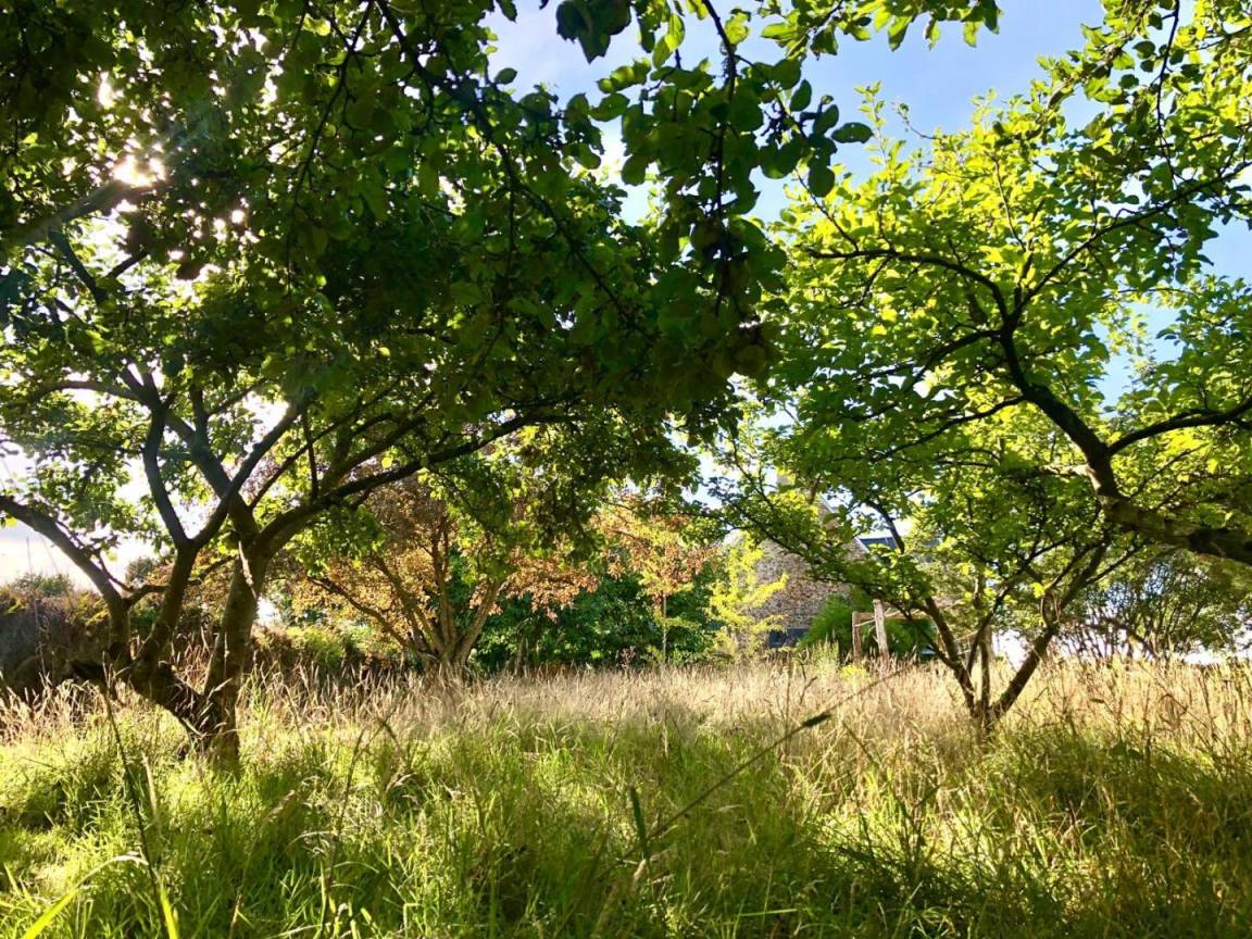 foto41