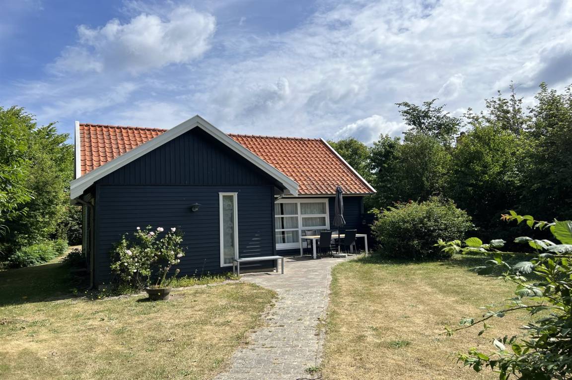 foto2