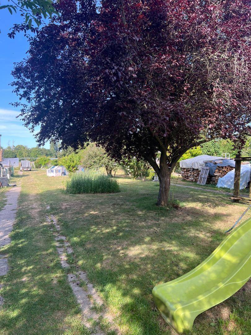 foto15