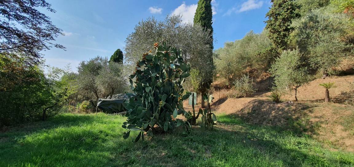 foto22
