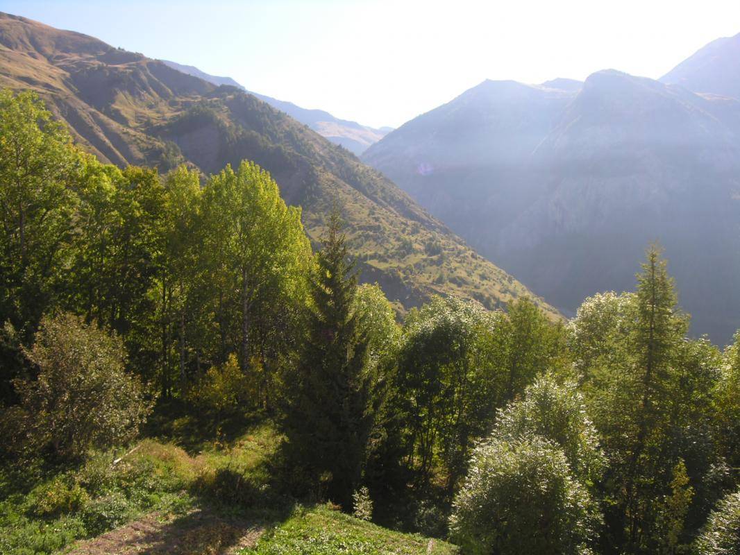foto1