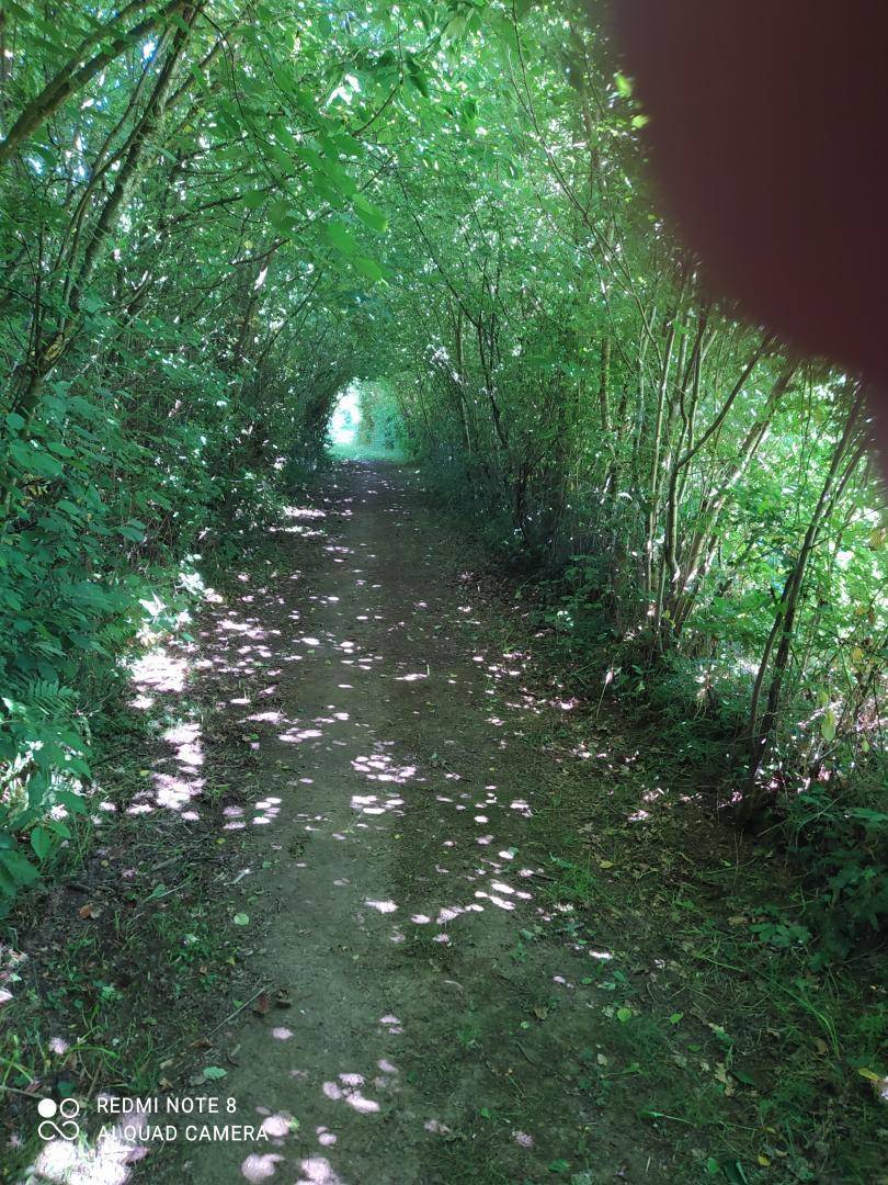 foto21