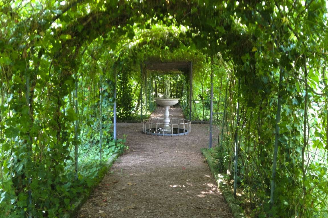 foto3