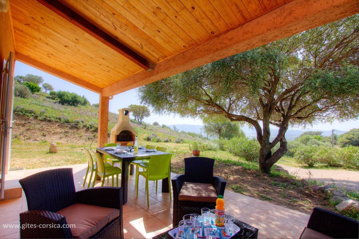 foto1