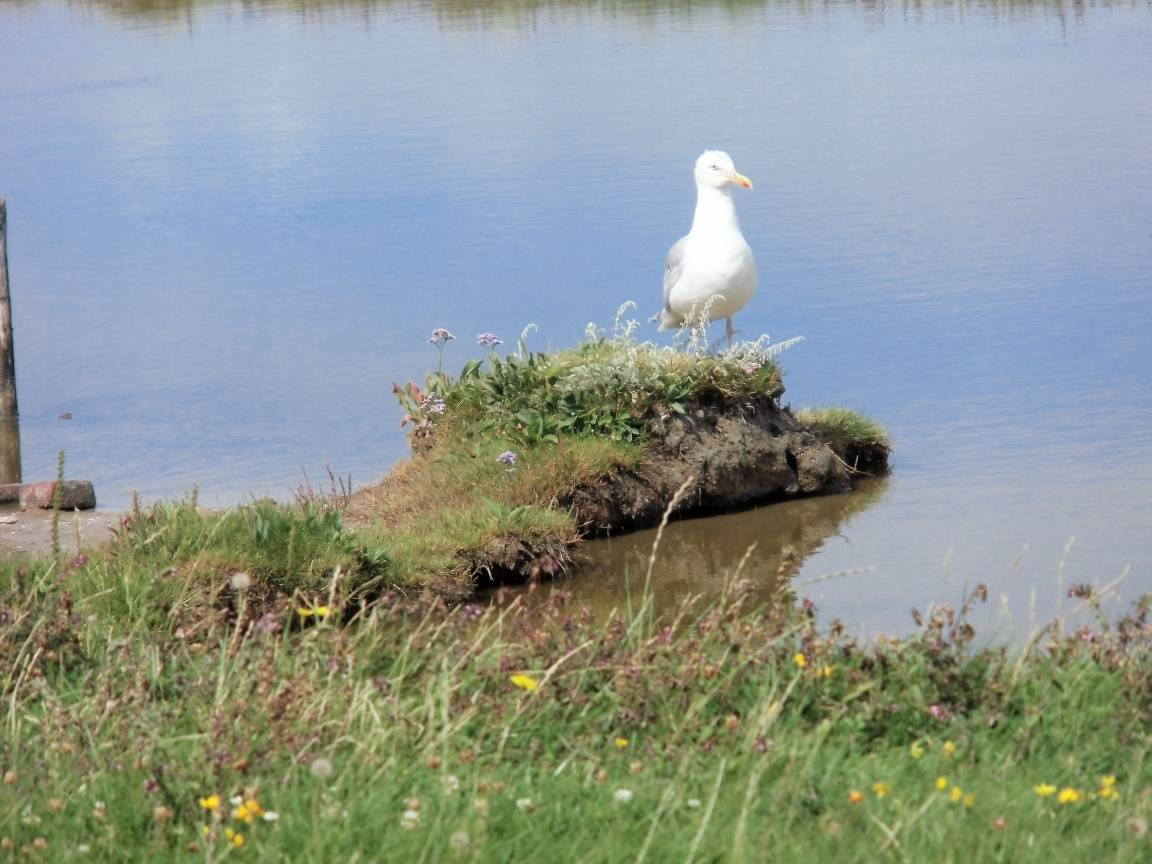 foto12