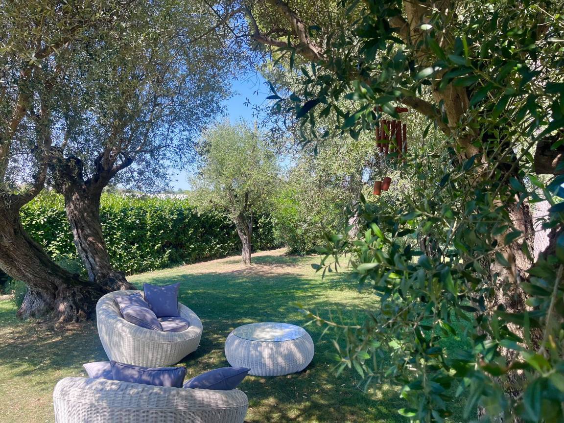 foto18