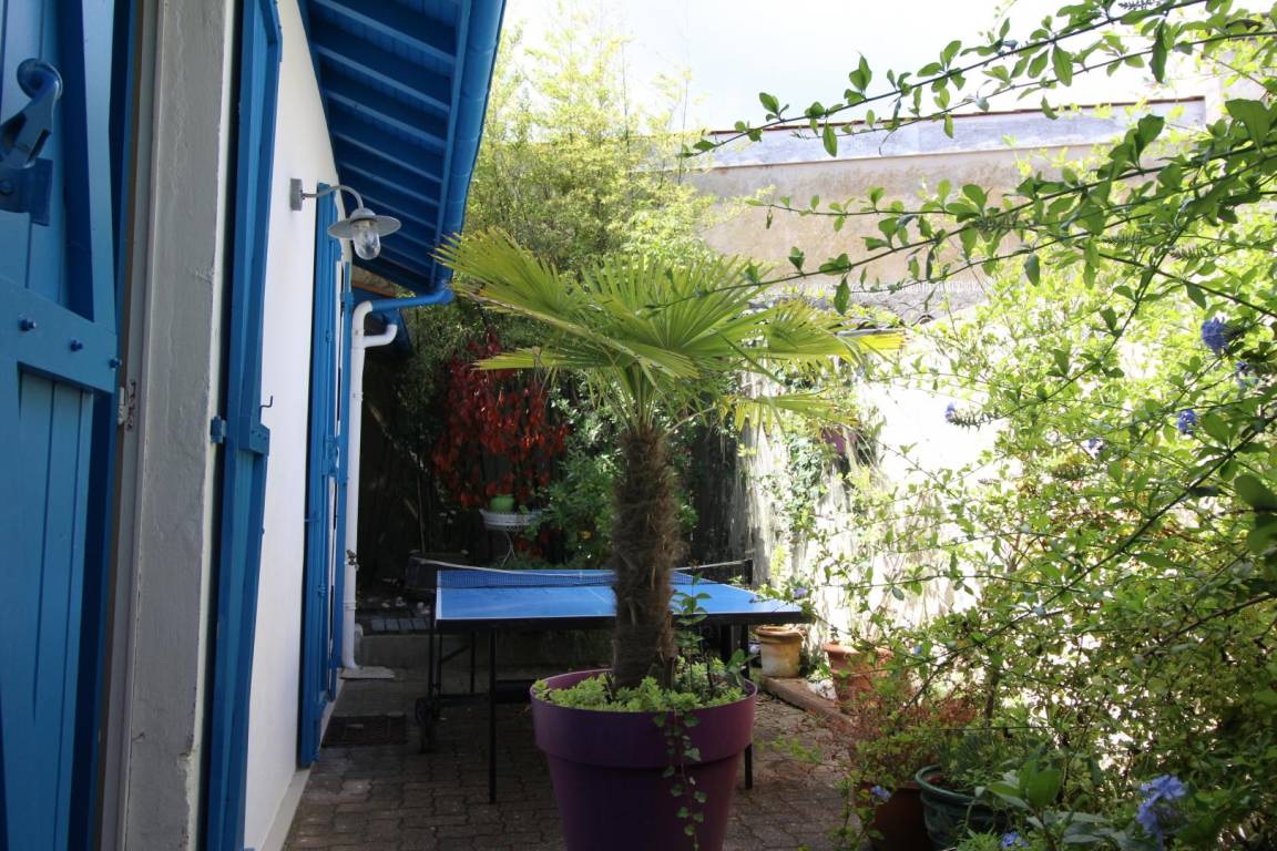 foto8