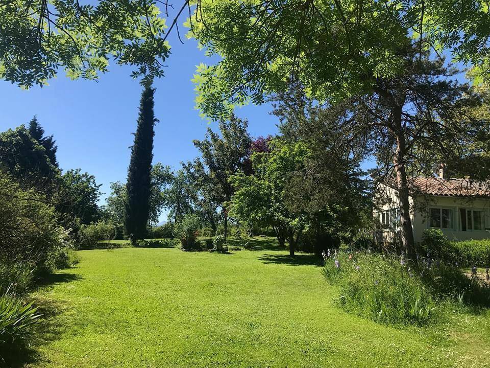 foto19