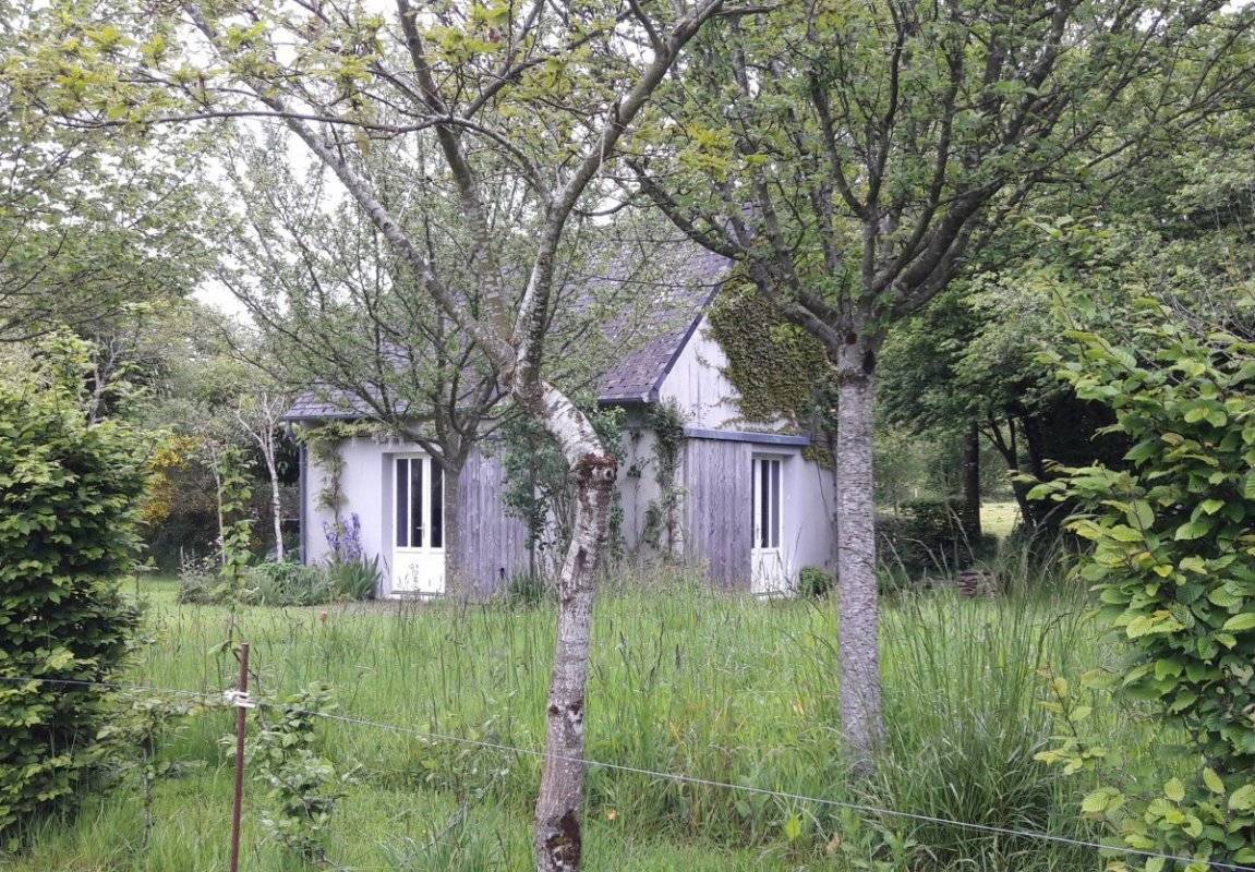 foto19