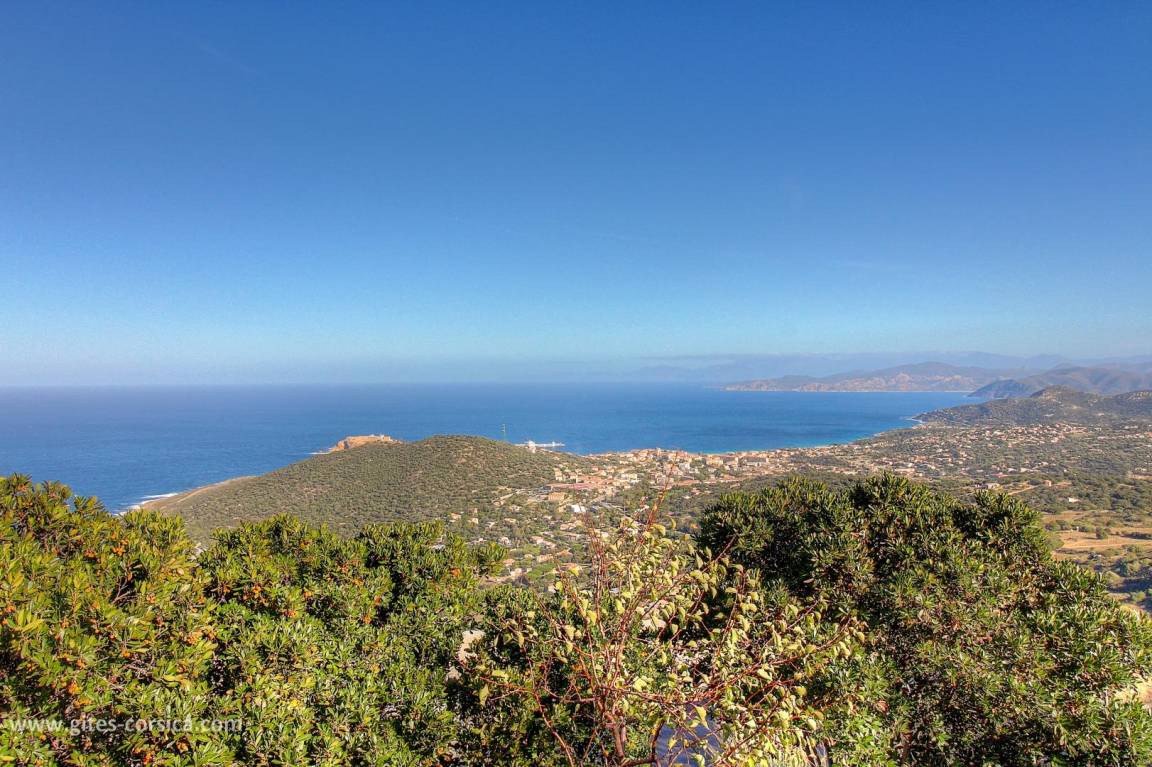 foto15