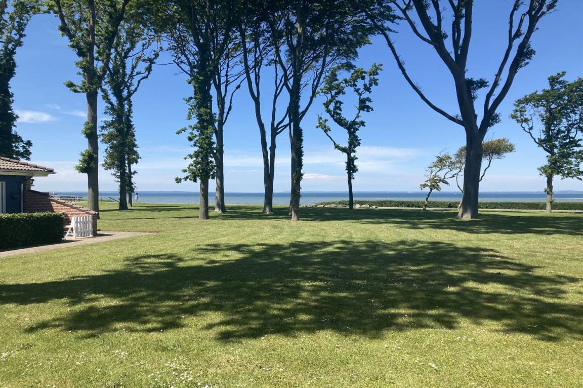 foto16
