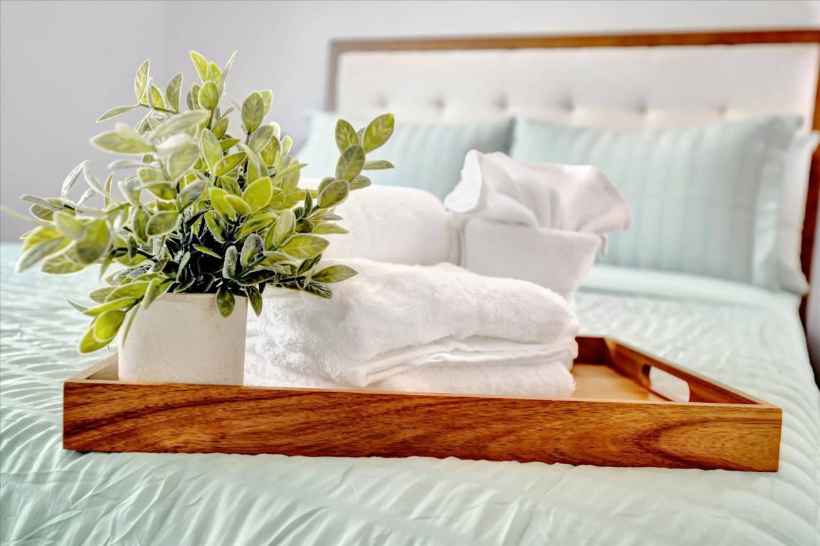 Appartement ∙ 4 Chambres ∙ 10 Personnes - Tampa, FL