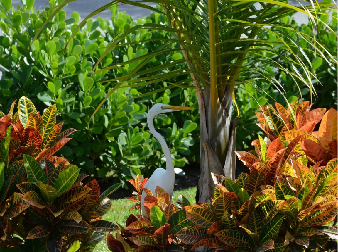 158 M² Casa ∙ 3 Habitaciones ∙ 4 Huéspedes - Venice, FL