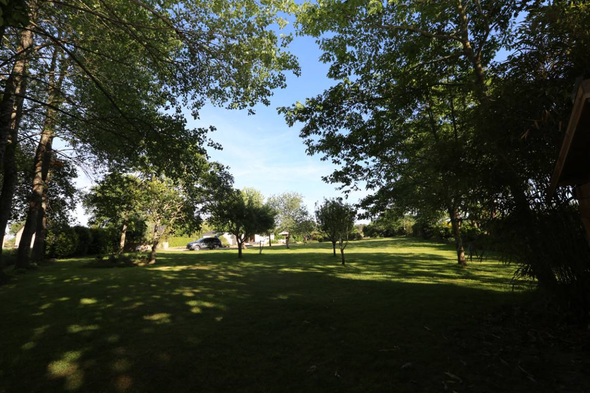 foto16