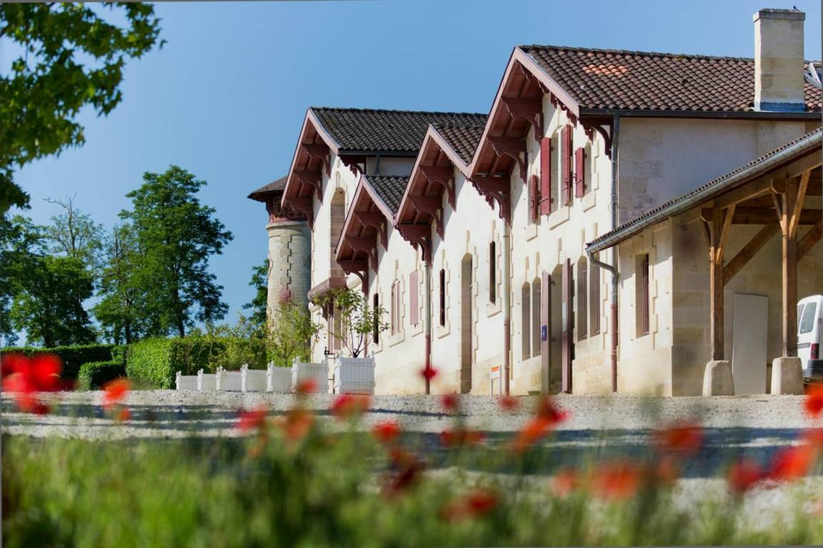 foto1