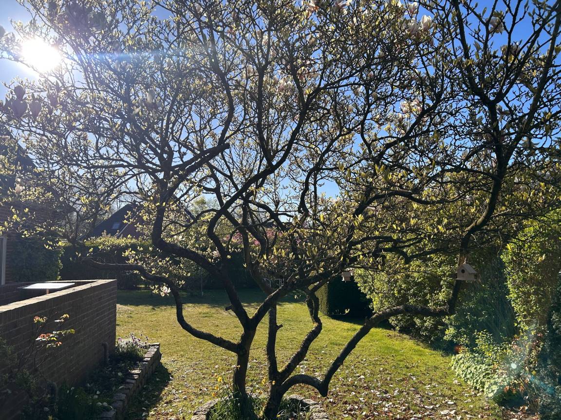 foto19