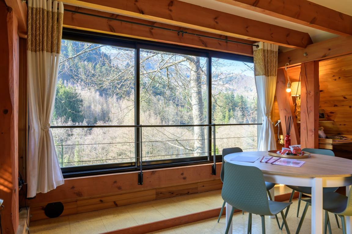 50 M² Appartement ∙ 1 Chambre ∙ 4 Personnes - Orbey