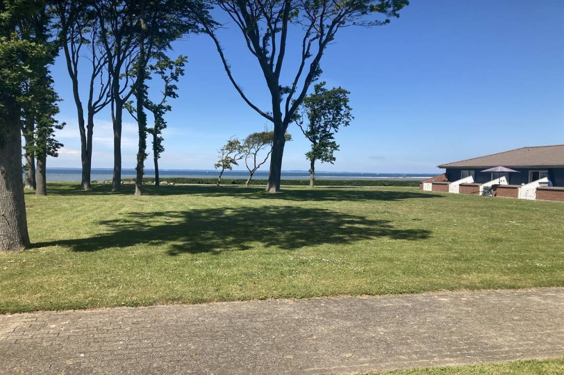 foto17