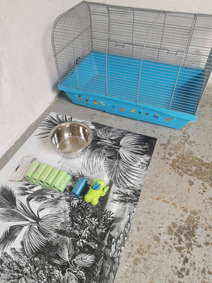 foto16