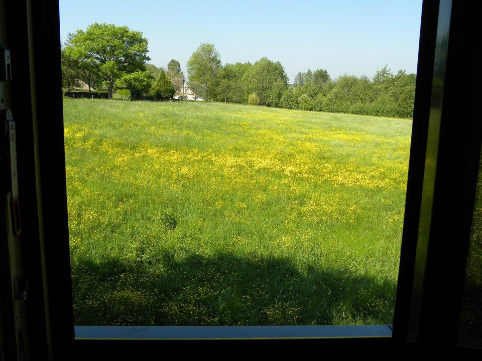 foto19