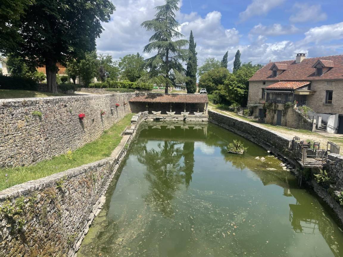 foto48