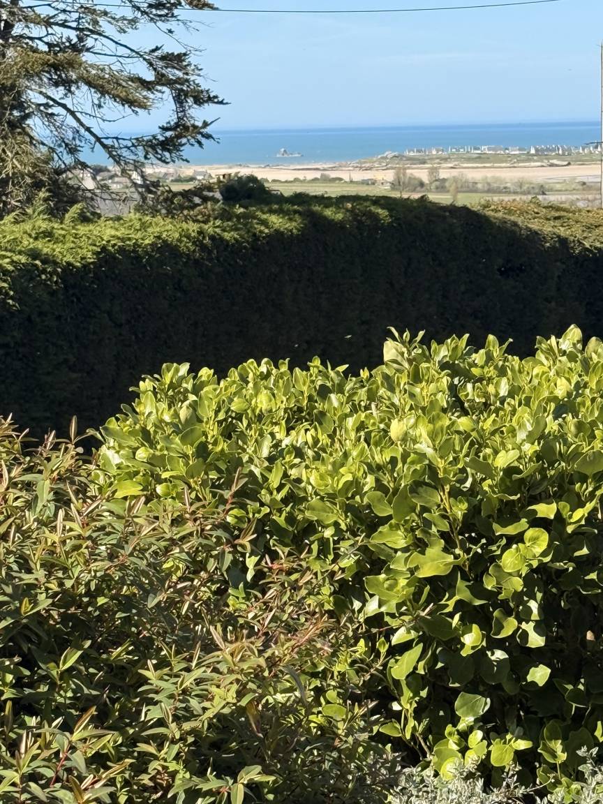 foto44