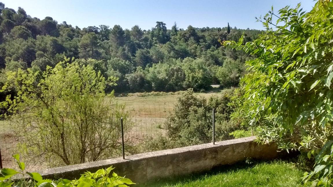 foto36