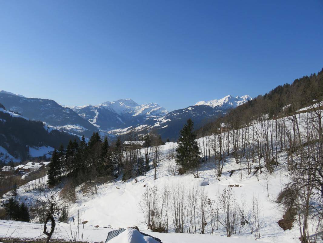 foto6