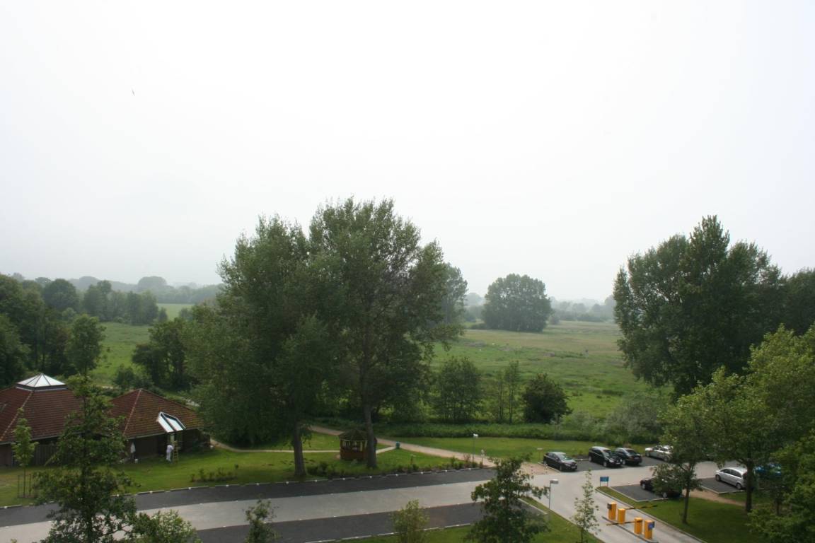foto8