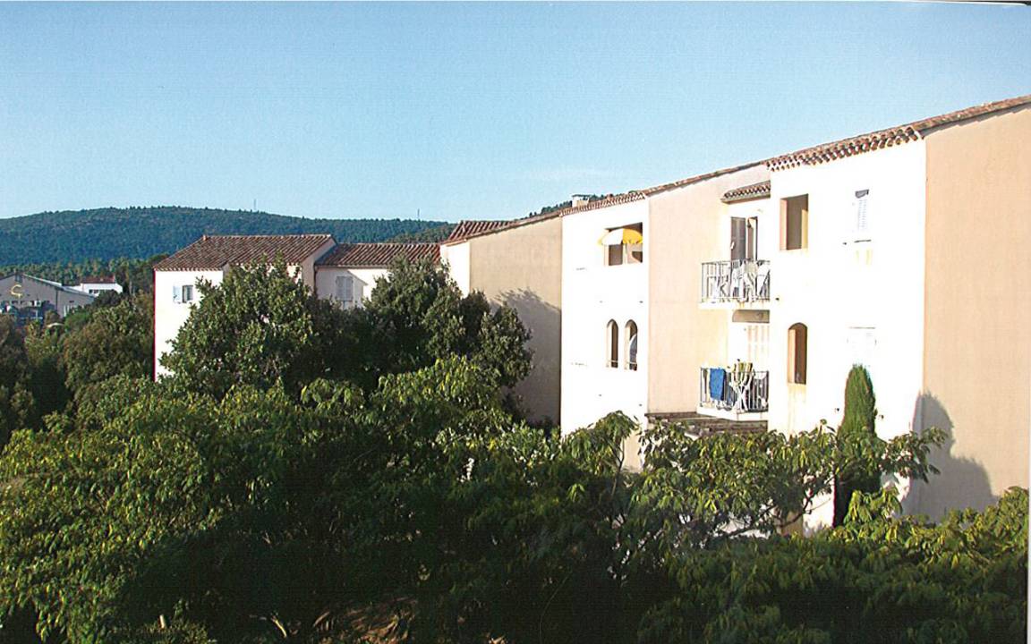 foto1
