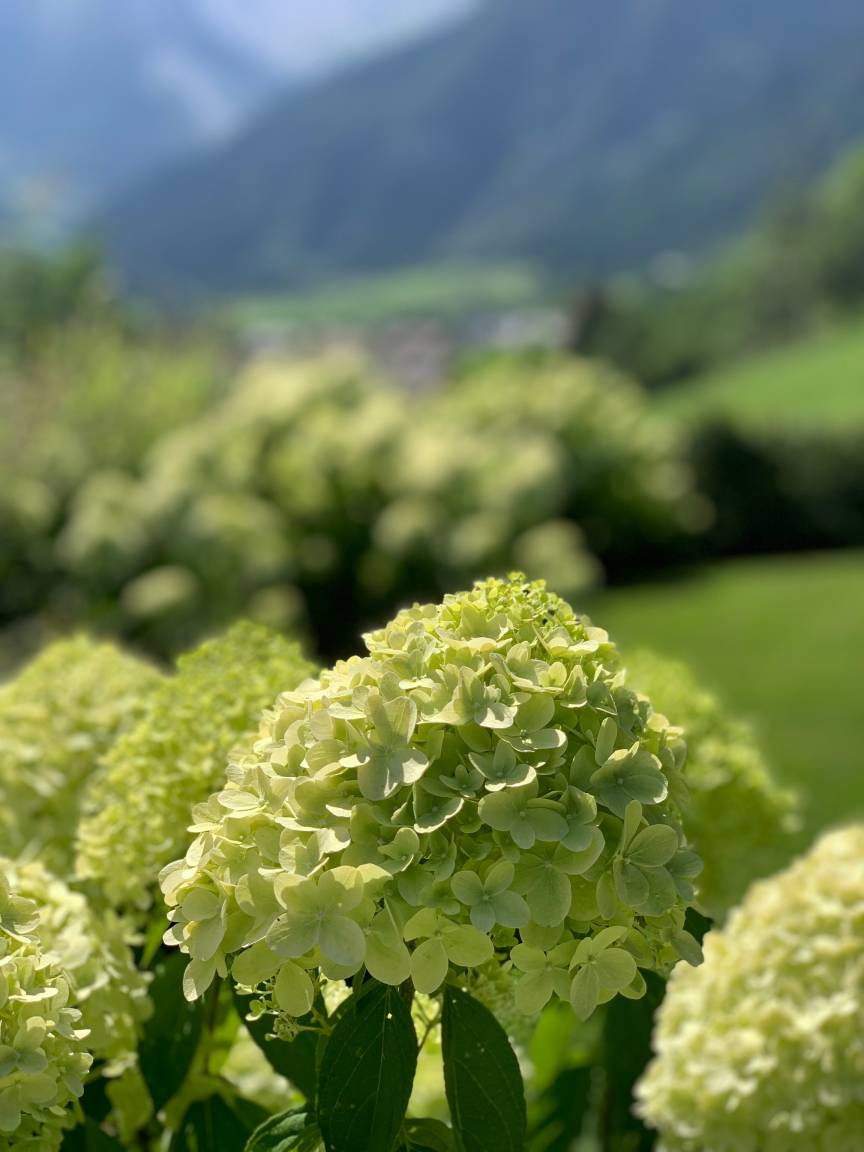 foto20