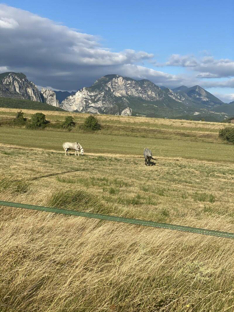 foto18